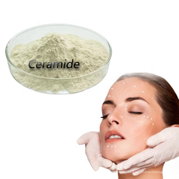 Ceramida de grado cosmético para la piel CAS 104404-17-3